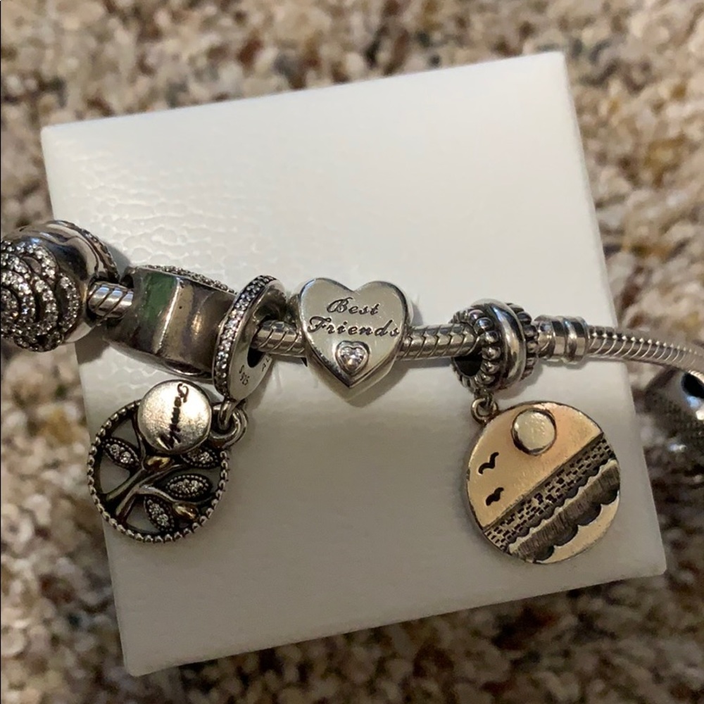 Pandora Charm